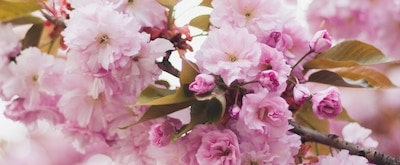 April Newsletter